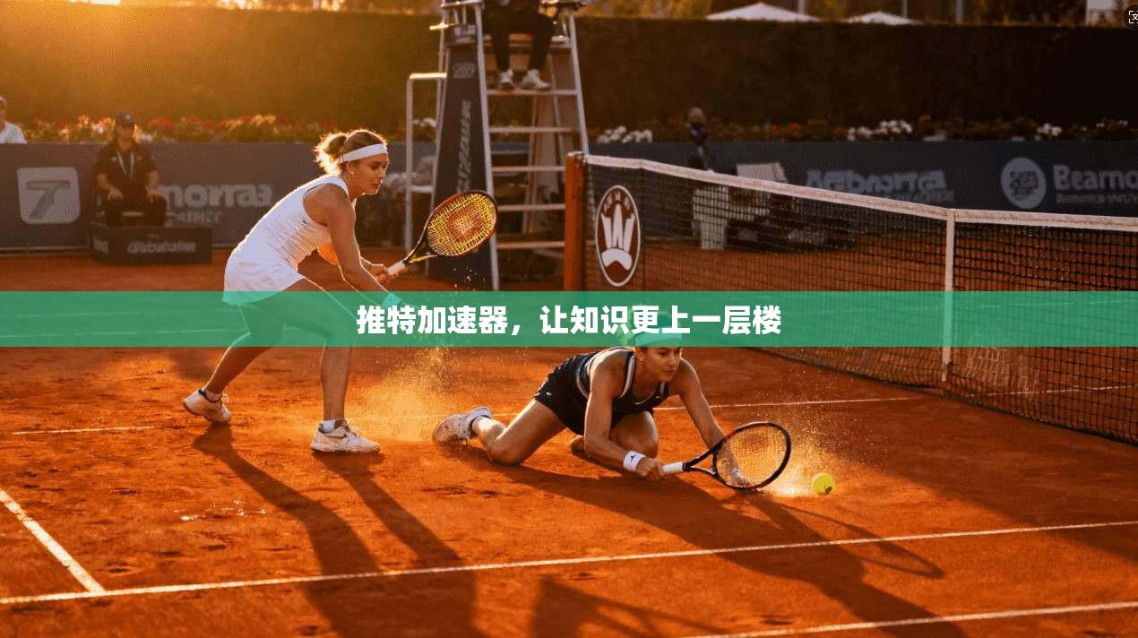 推特加速器，让知识更上一层楼