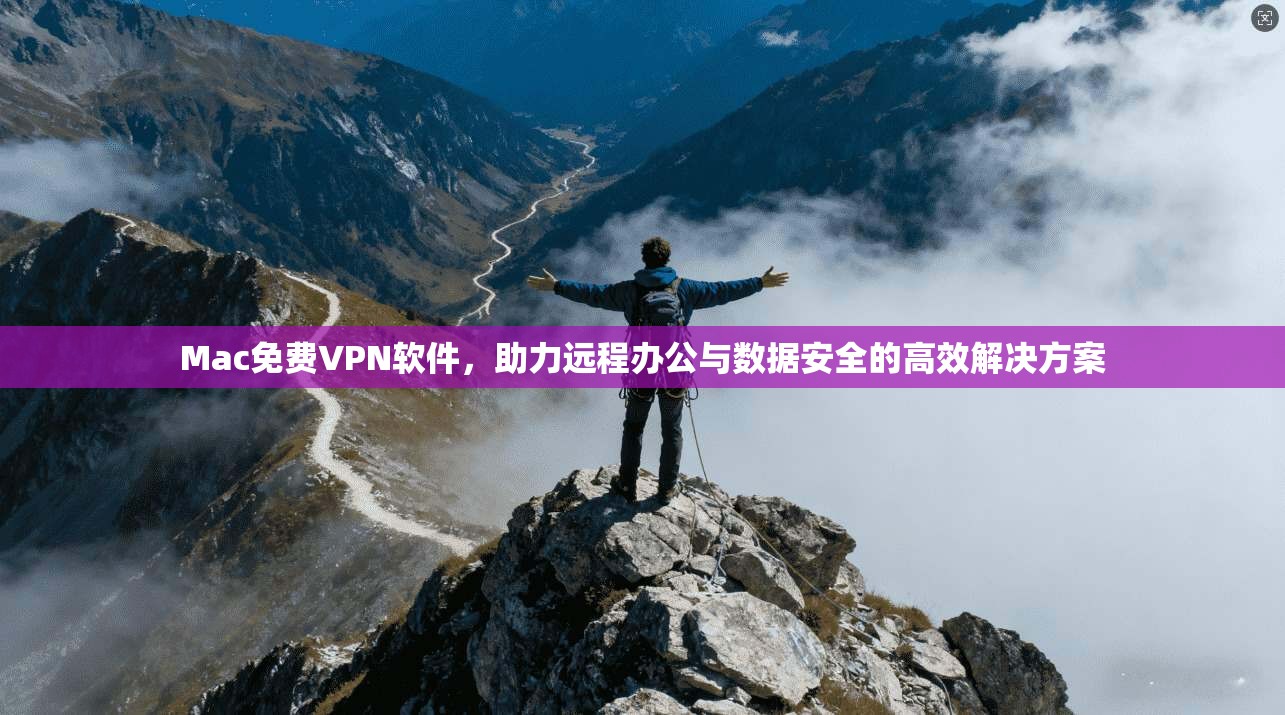 Mac免费VPN软件，助力远程办公与数据安全的高效解决方案