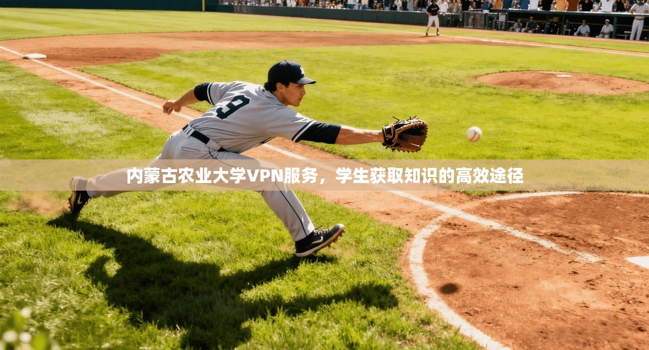 内蒙古农业大学VPN服务，学生获取知识的高效途径