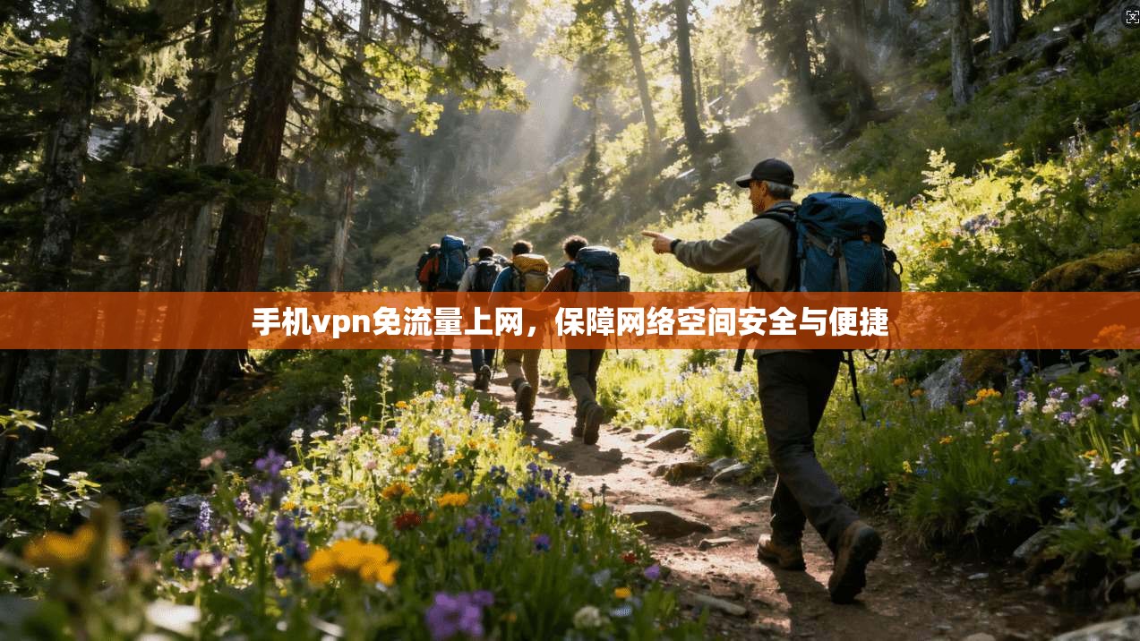 手机vpn免流量上网，保障网络空间安全与便捷