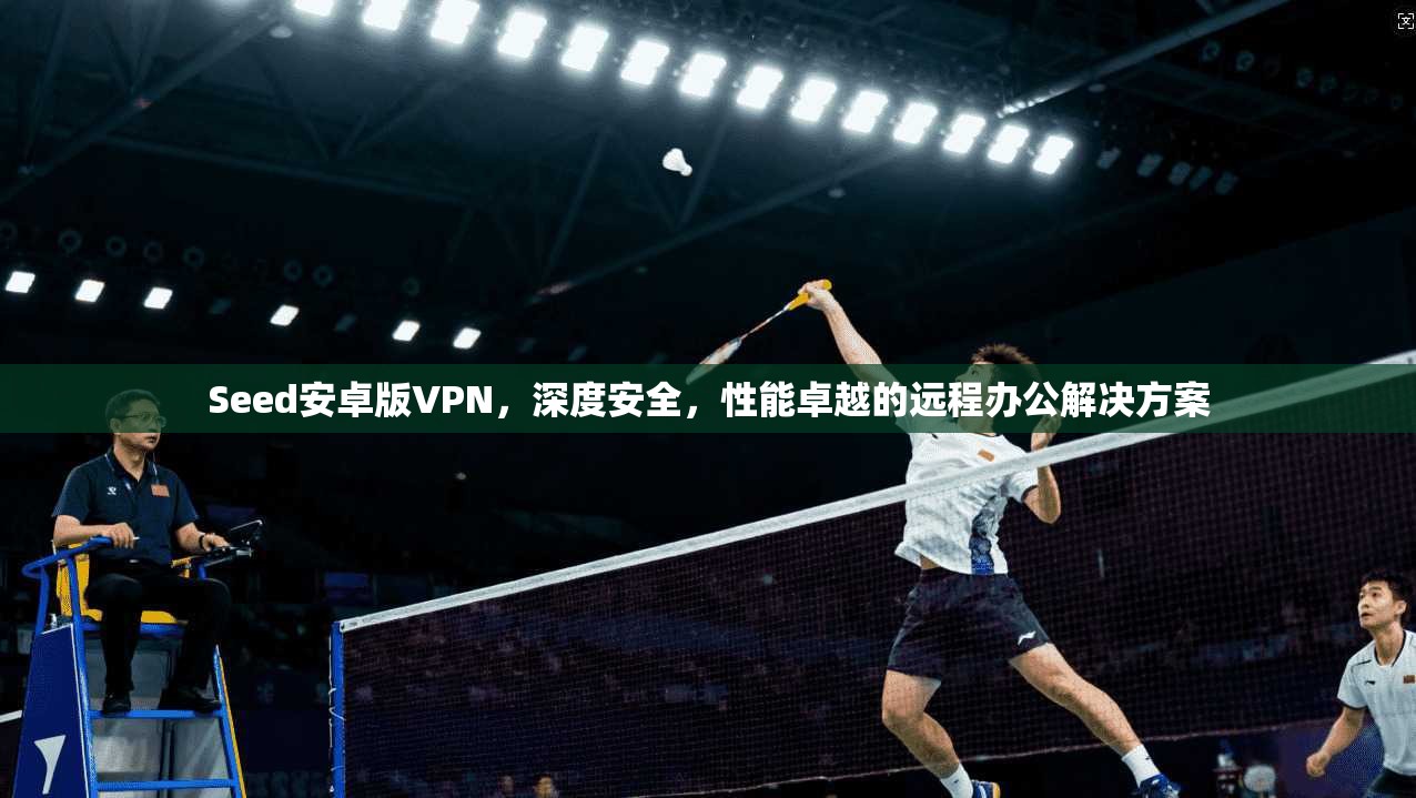 Seed安卓版VPN，深度安全，性能卓越的远程办公解决方案  第1张