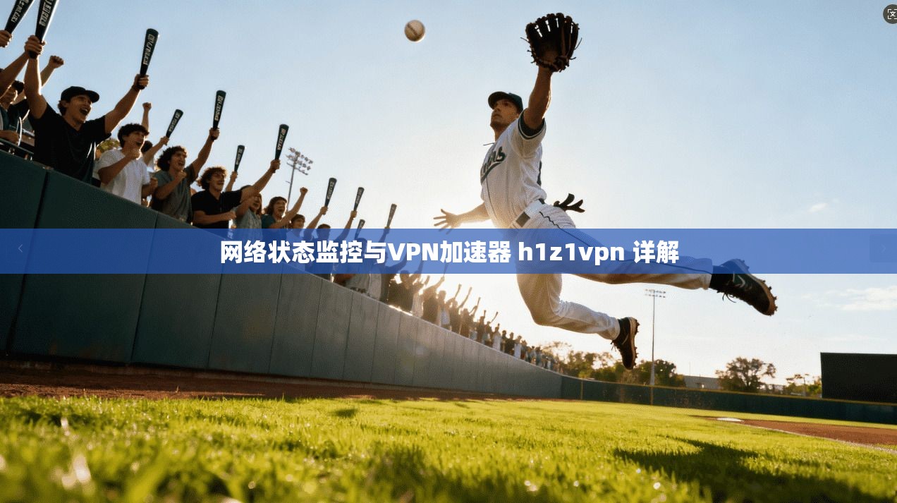网络状态监控与VPN加速器 h1z1vpn 详解