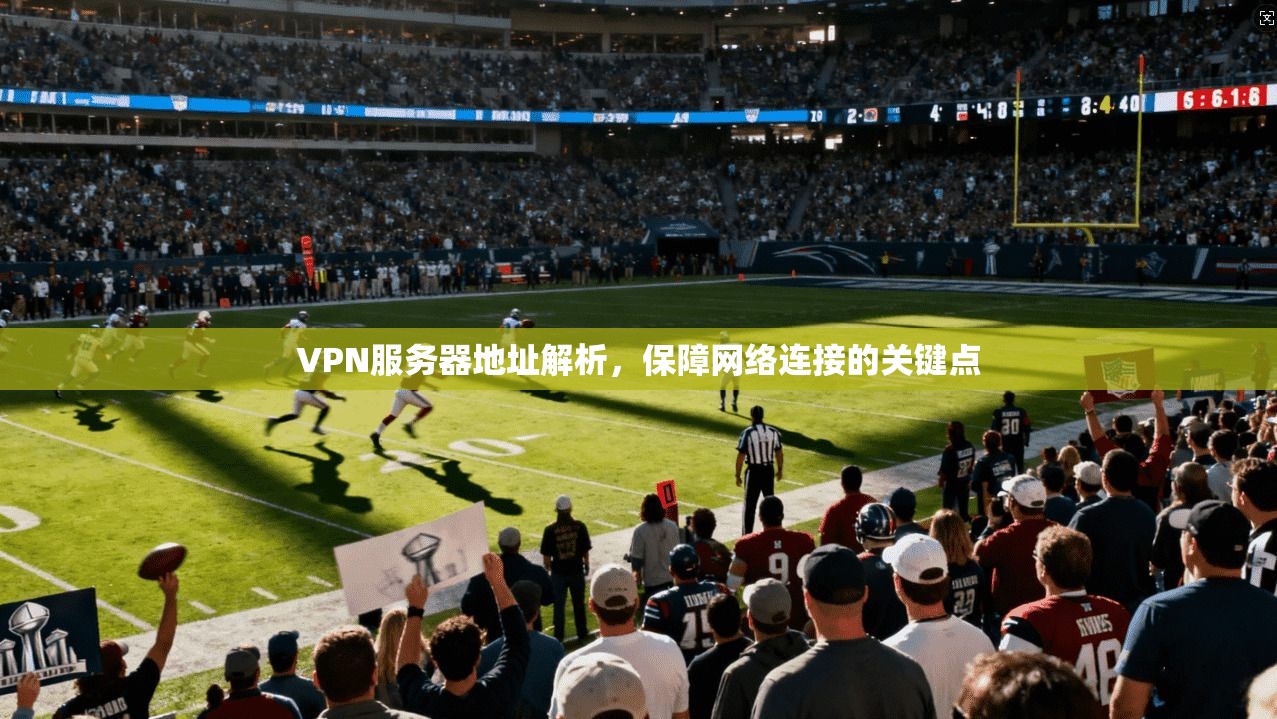 VPN服务器地址解析，保障网络连接的关键点  第1张