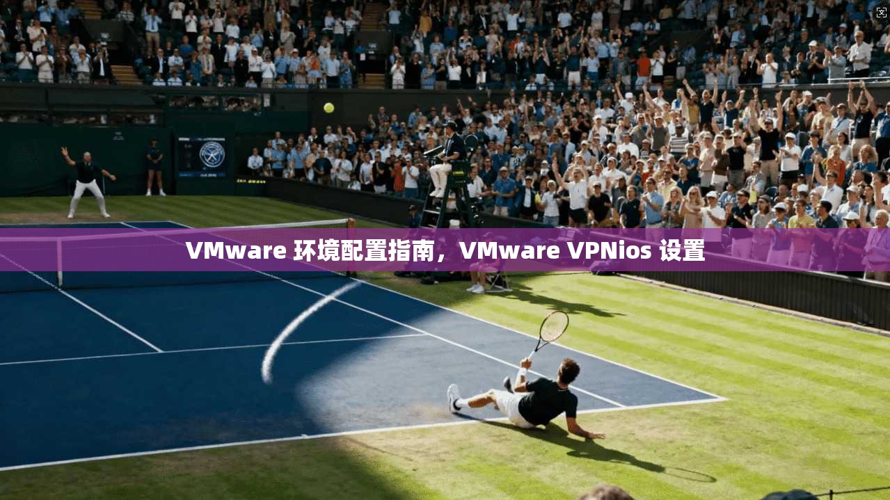VMware 环境配置指南，VMware VPNios 设置  第1张