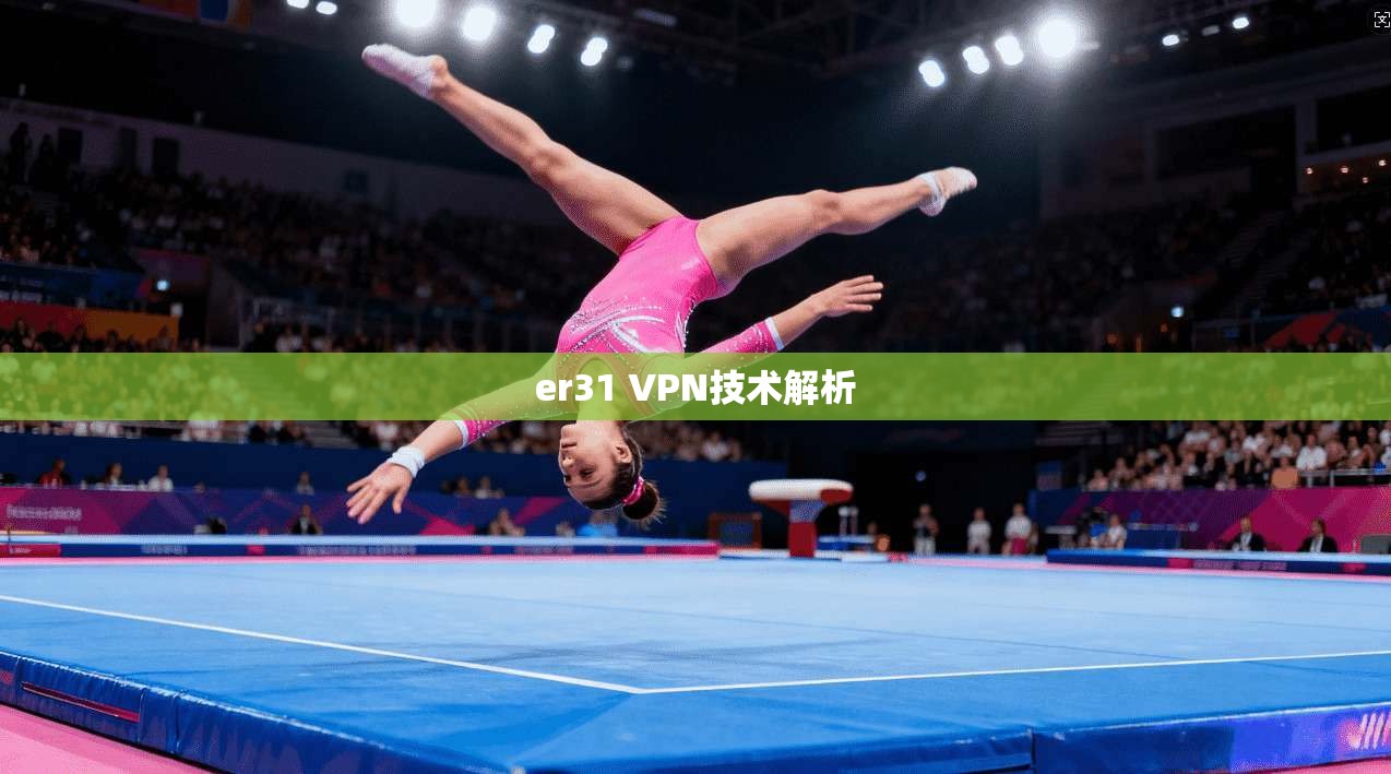 er31 VPN技术解析