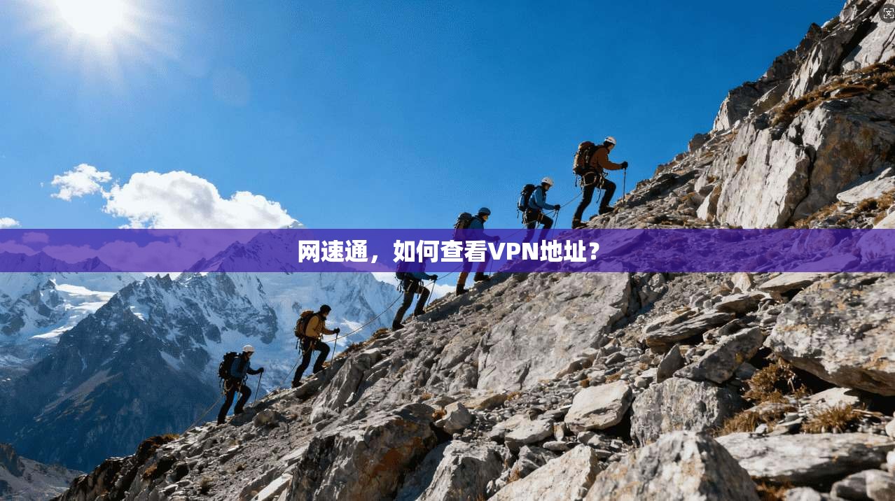 网速通，如何查看VPN地址？