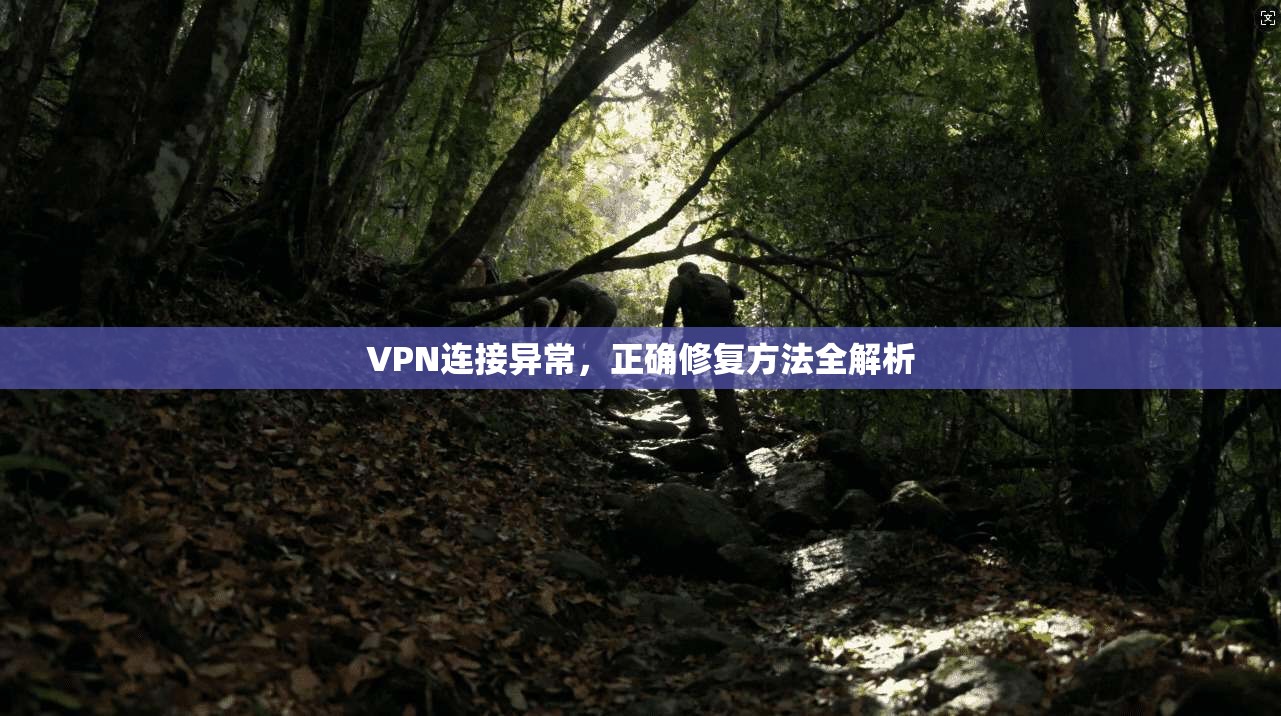 VPN连接异常，正确修复方法全解析