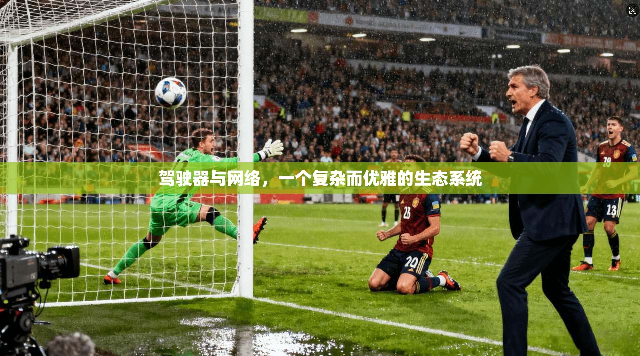 驾驶器与网络，一个复杂而优雅的生态系统