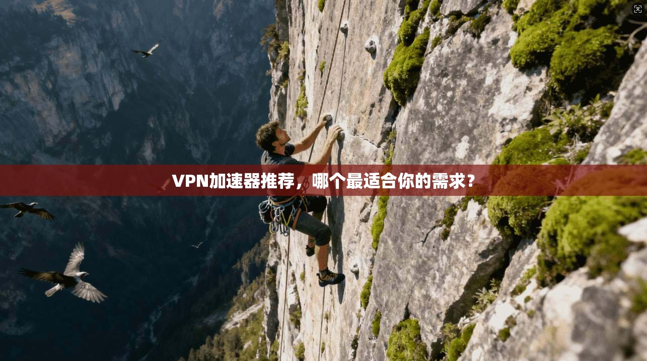 VPN加速器推荐，哪个最适合你的需求？