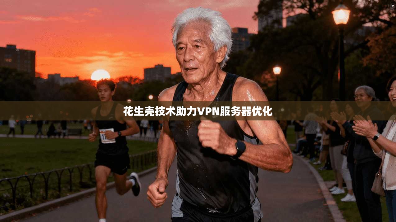 花生壳技术助力VPN服务器优化