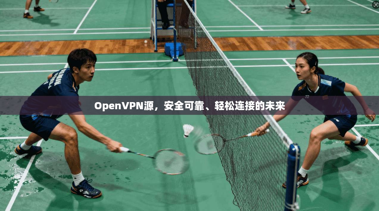 OpenVPN源，安全可靠、轻松连接的未来