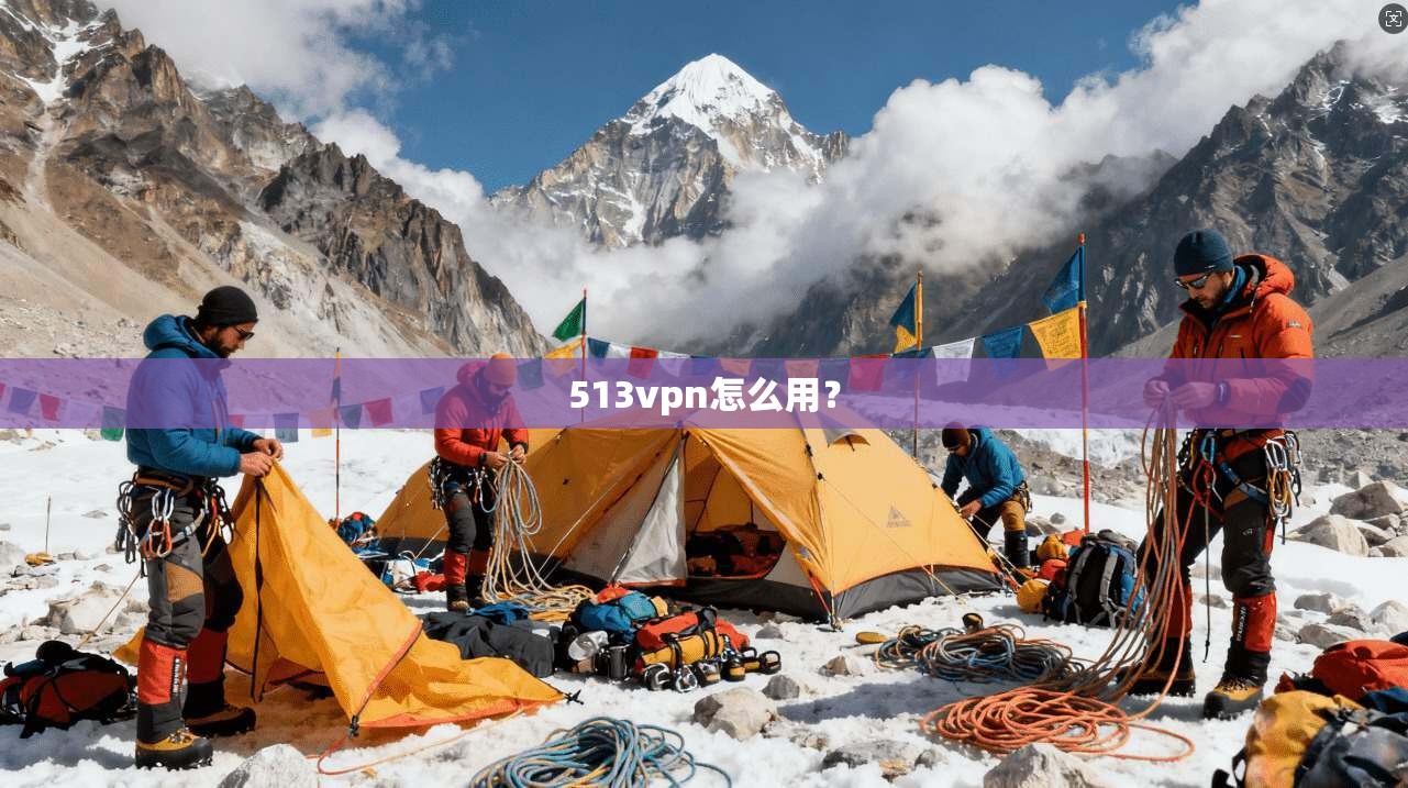 513vpn怎么用？
