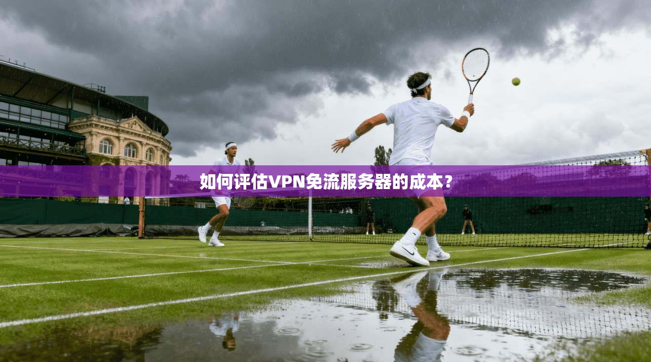 如何评估VPN免流服务器的成本？