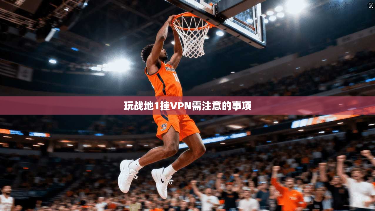 玩战地1挂VPN需注意的事项