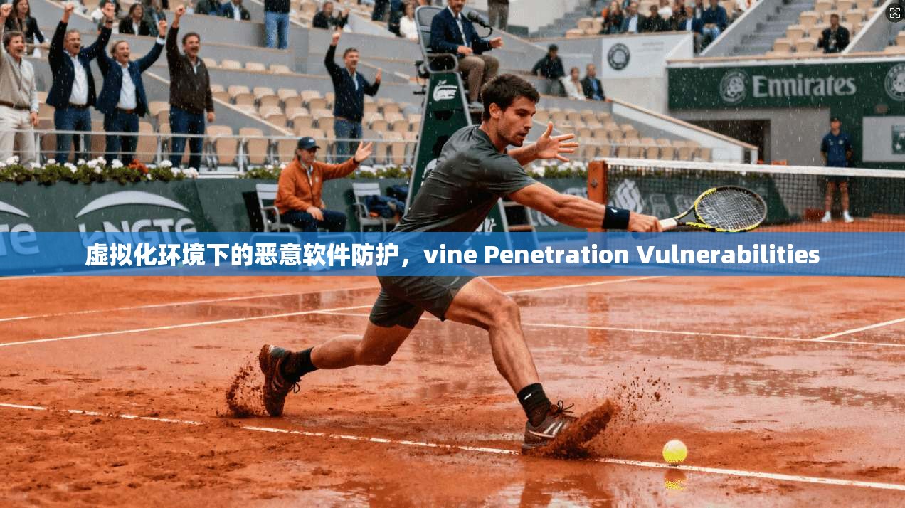 虚拟化环境下的恶意软件防护，vine Penetration Vulnerabilities