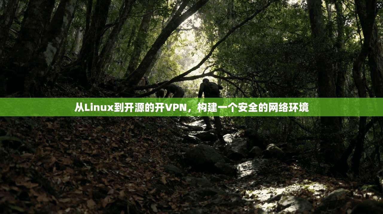 从Linux到开源的开VPN，构建一个安全的网络环境