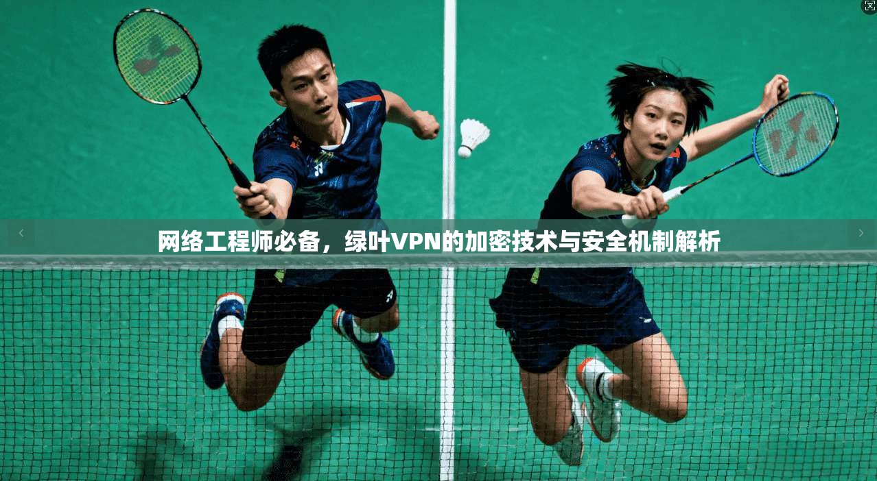 网络工程师必备，绿叶VPN的加密技术与安全机制解析