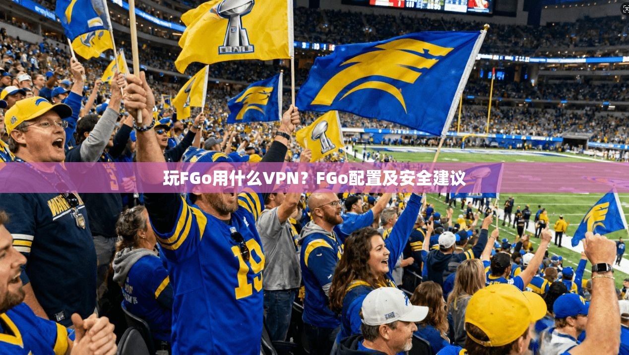 玩FGo用什么VPN？FGo配置及安全建议