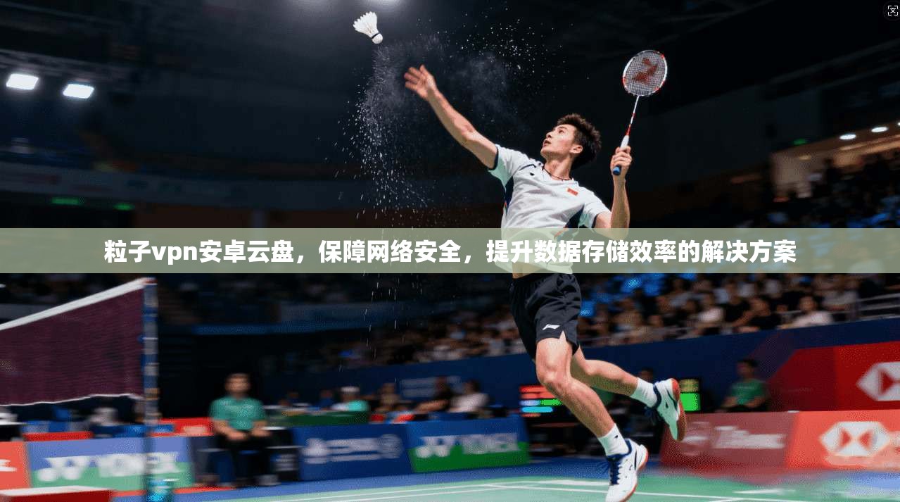 粒子vpn安卓云盘，保障网络安全，提升数据存储效率的解决方案