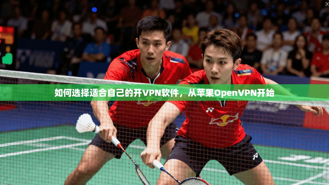 如何选择适合自己的开VPN软件，从苹果OpenVPN开始