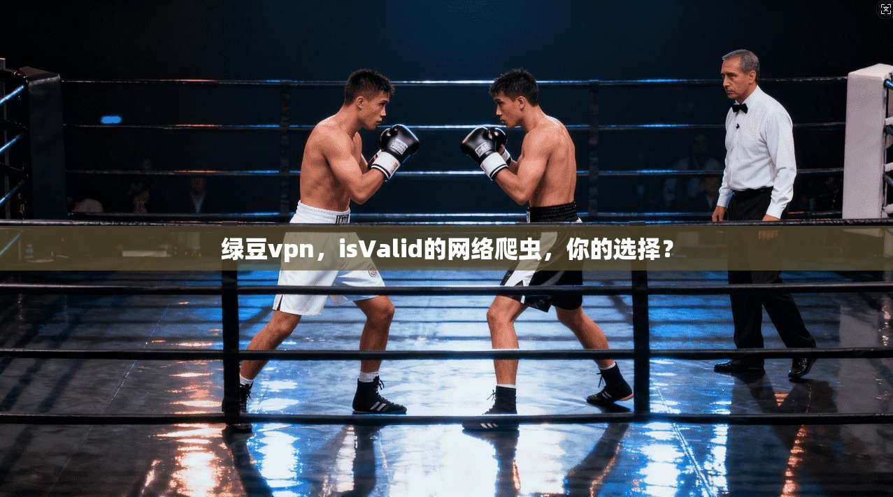 绿豆vpn，isValid的网络爬虫，你的选择？