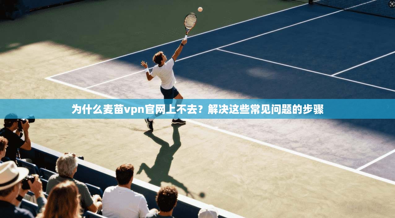 为什么麦苗vpn官网上不去？解决这些常见问题的步骤