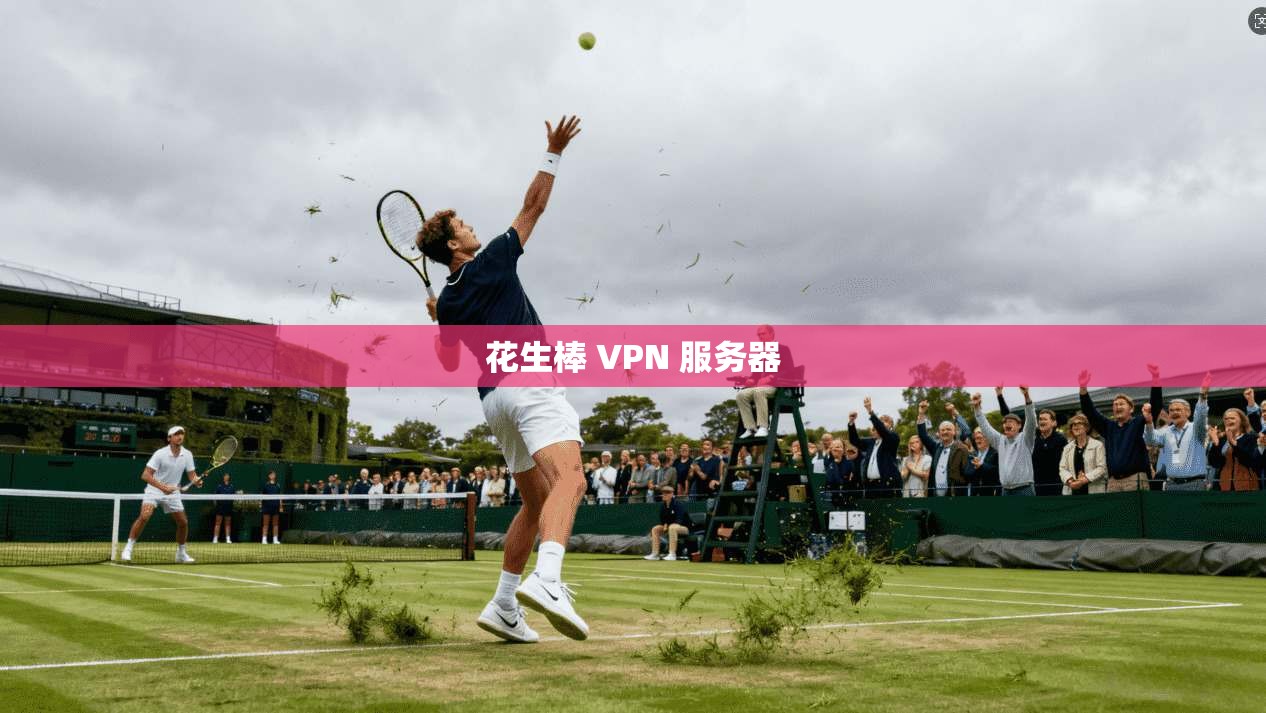 花生棒 VPN 服务器