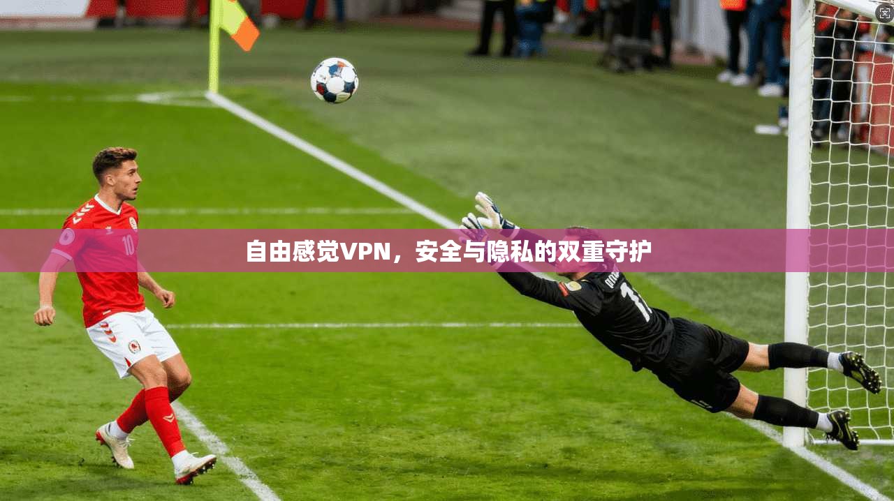 自由感觉VPN，安全与隐私的双重守护