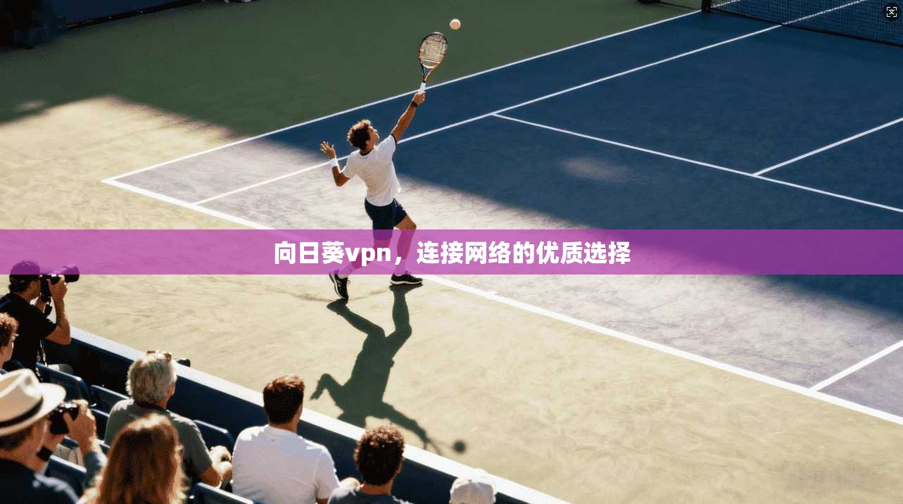 向日葵vpn，连接网络的优质选择
