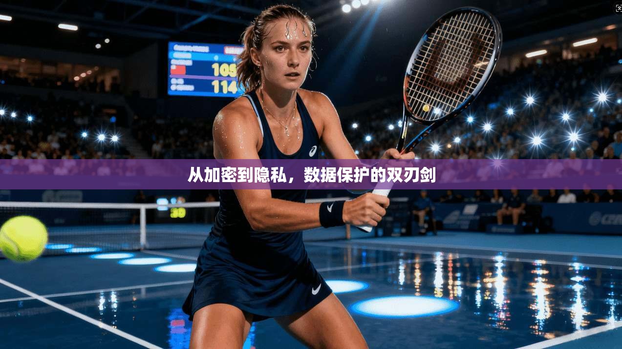 从加密到隐私，数据保护的双刃剑