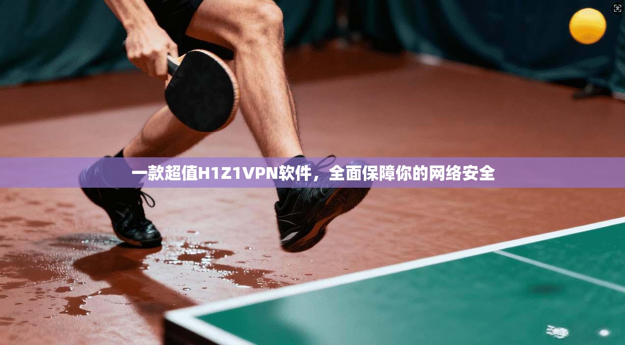 一款超值H1Z1VPN软件，全面保障你的网络安全