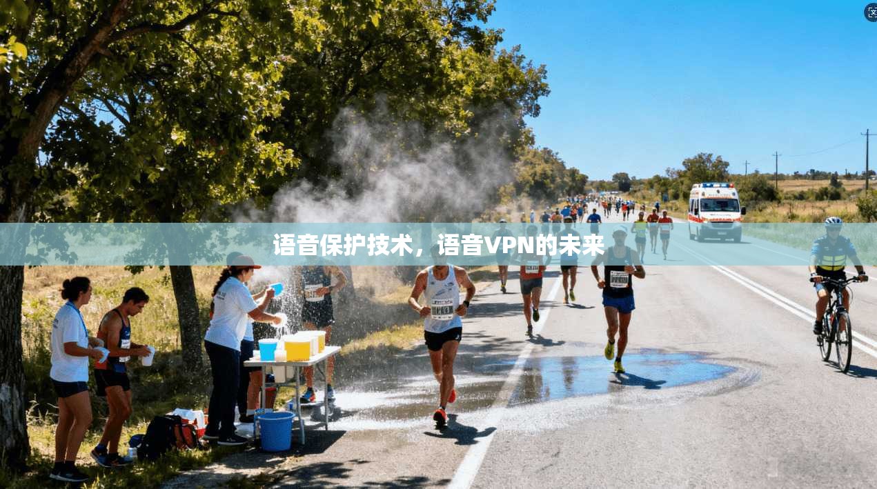 语音保护技术，语音VPN的未来