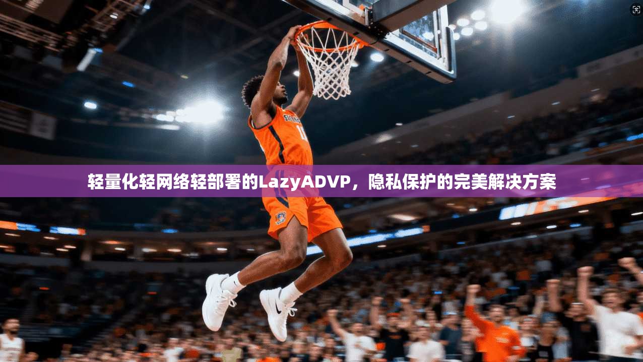轻量化轻网络轻部署的LazyADVP，隐私保护的完美解决方案