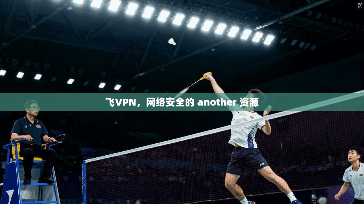 飞VPN，网络安全的 another 资源