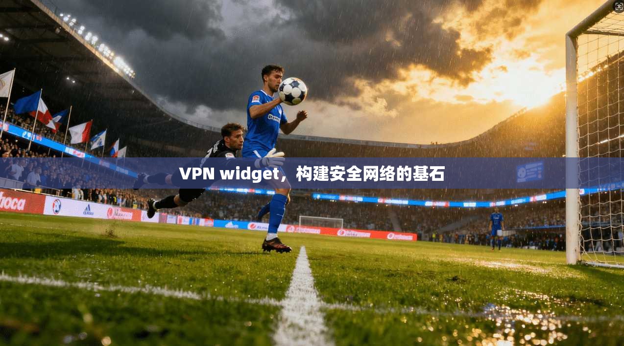 VPN widget，构建安全网络的基石