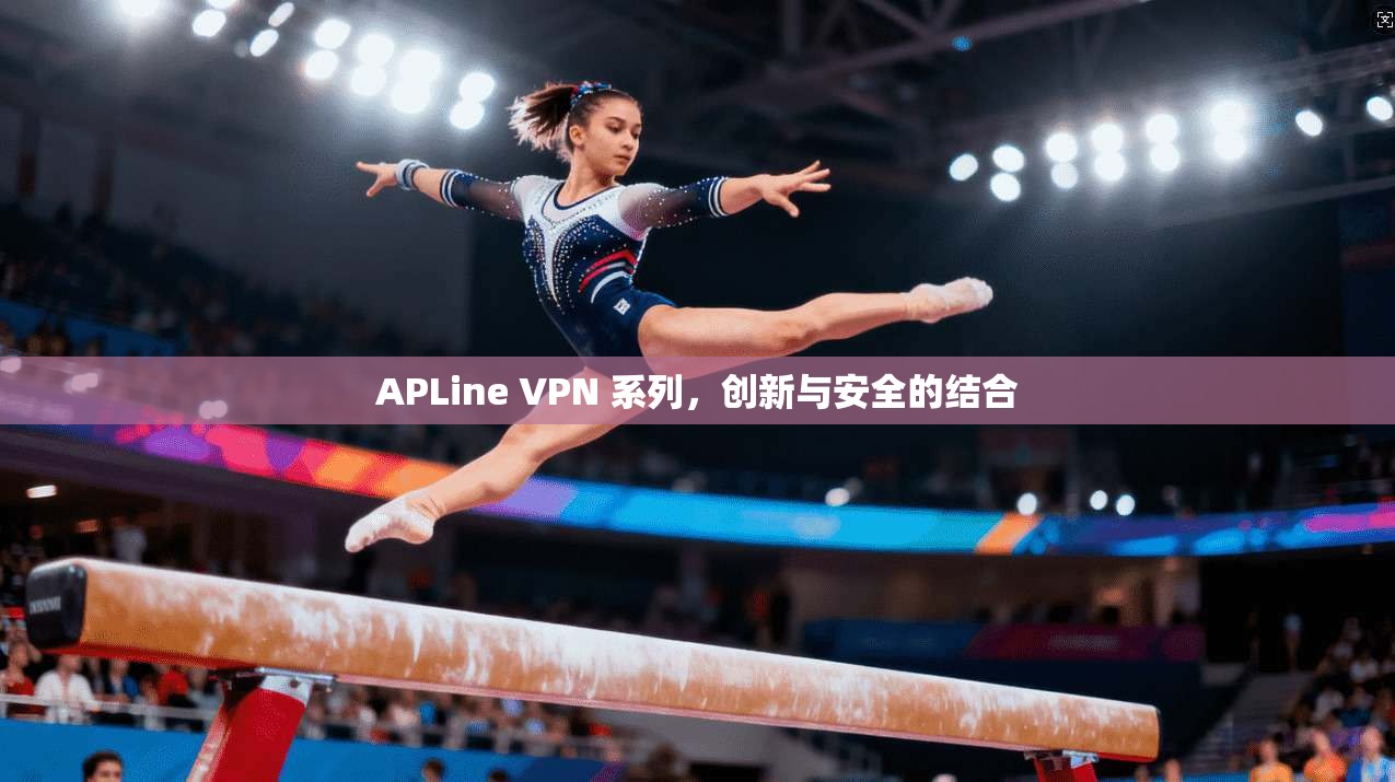 APLine VPN 系列，创新与安全的结合