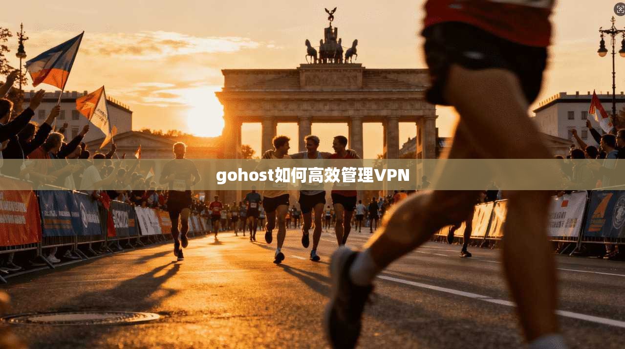 gohost如何高效管理VPN