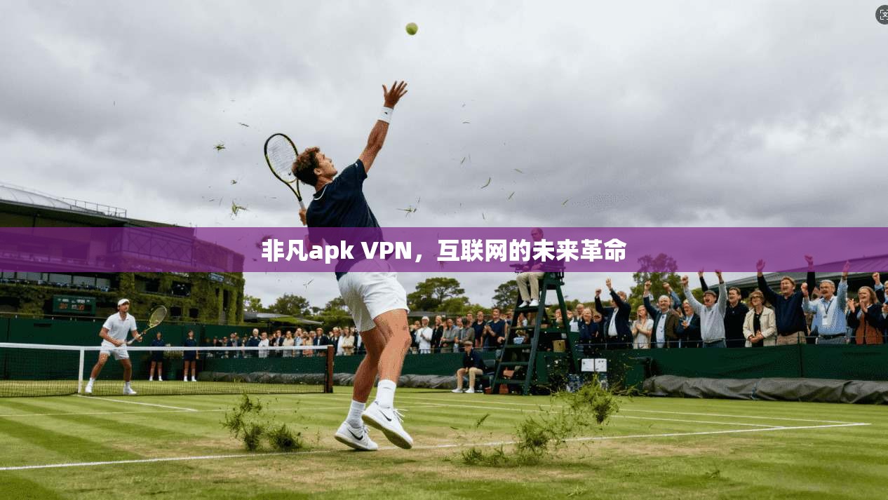 非凡apk VPN，互联网的未来革命