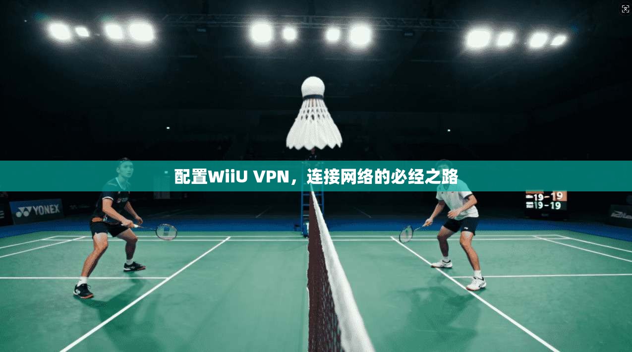 配置WiiU VPN，连接网络的必经之路