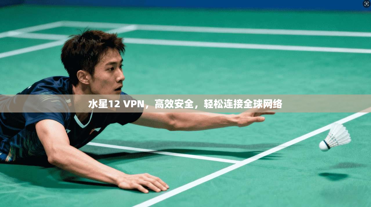 水星12 VPN，高效安全，轻松连接全球网络