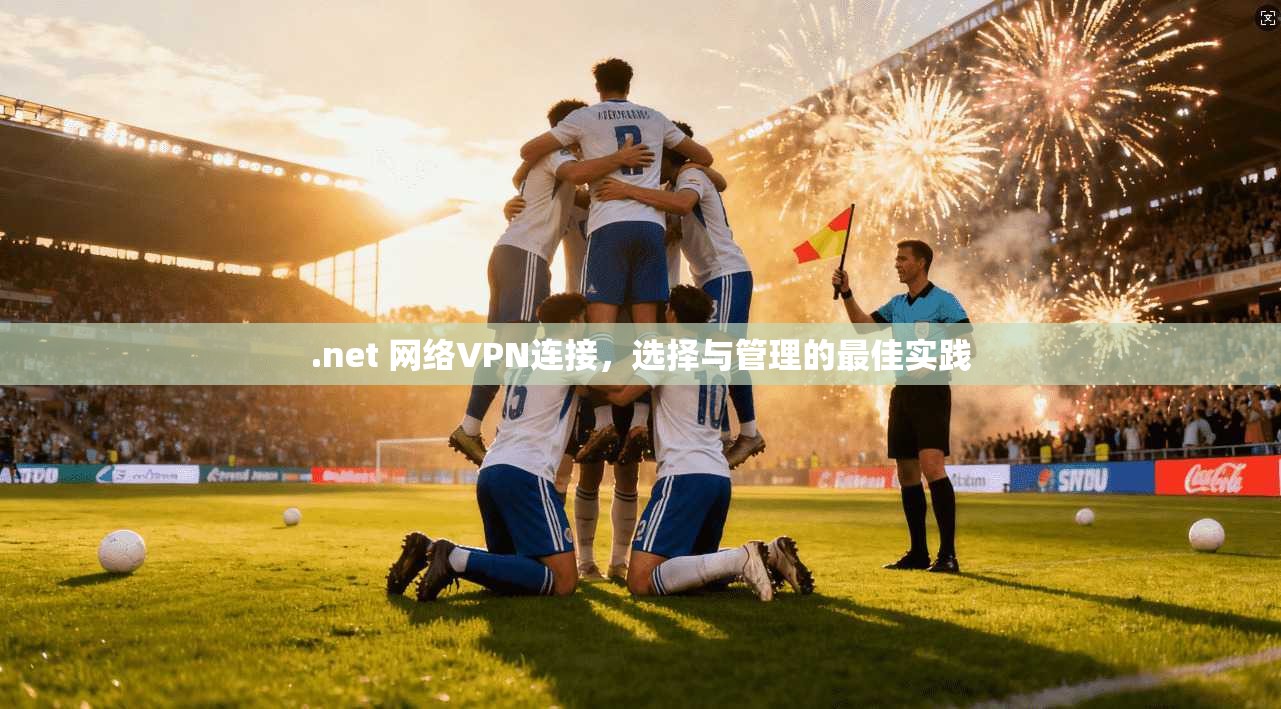 .net 网络VPN连接，选择与管理的最佳实践