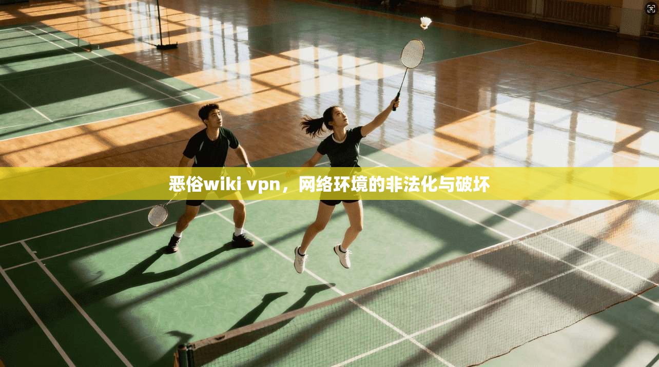 恶俗wiki vpn，网络环境的非法化与破坏