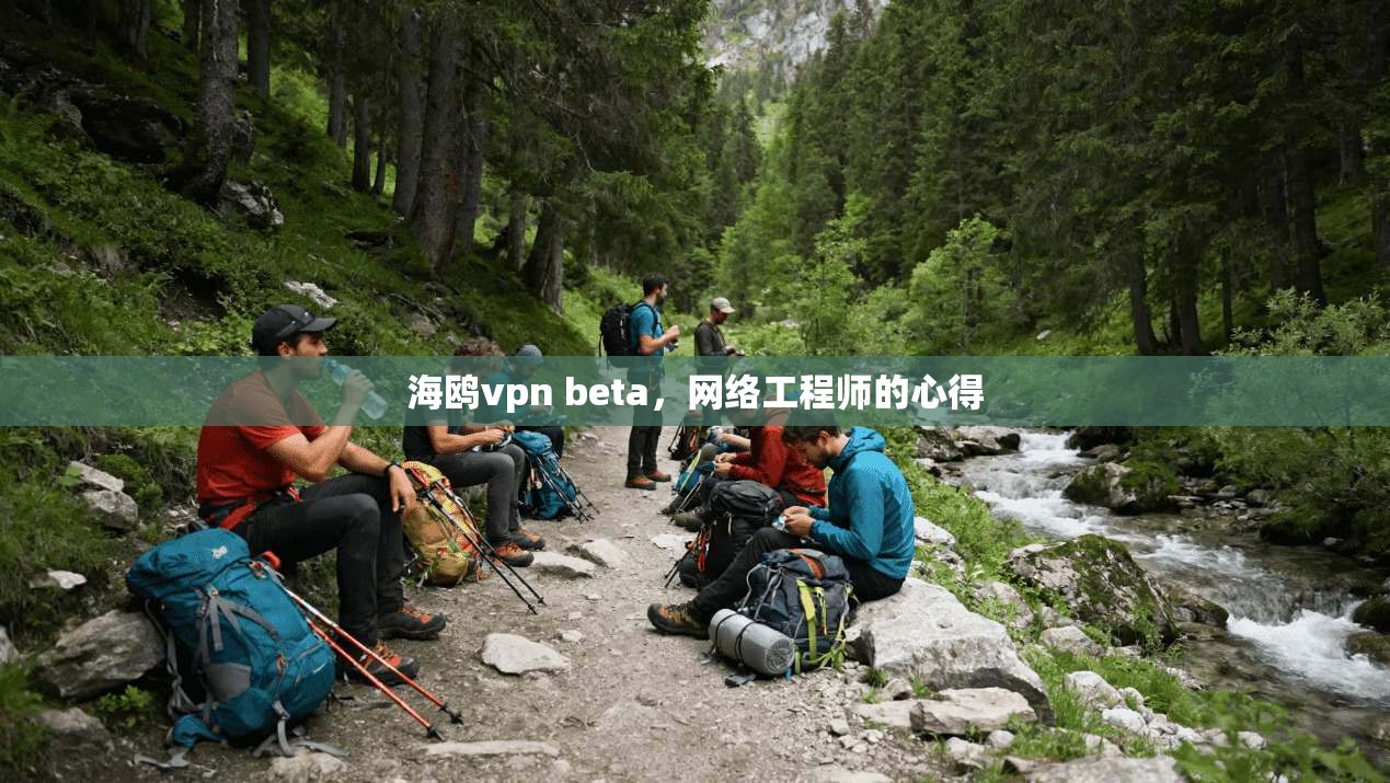 海鸥vpn beta，网络工程师的心得