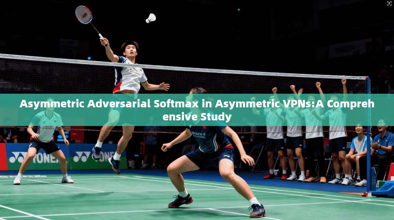 Asymmetric Adversarial Softmax in Asymmetric VPNs:A Comprehensive Study