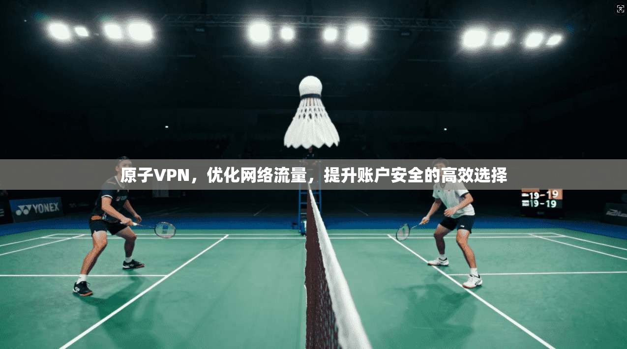 原子VPN，优化网络流量，提升账户安全的高效选择