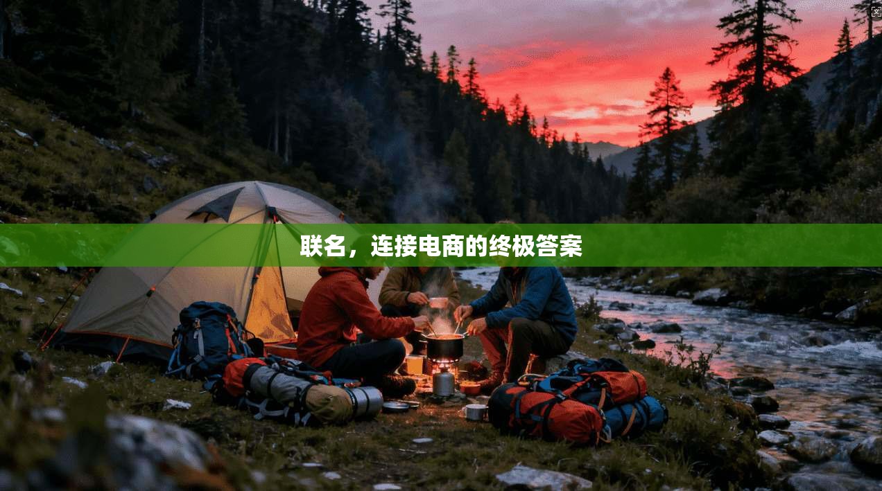 联名，连接电商的终极答案