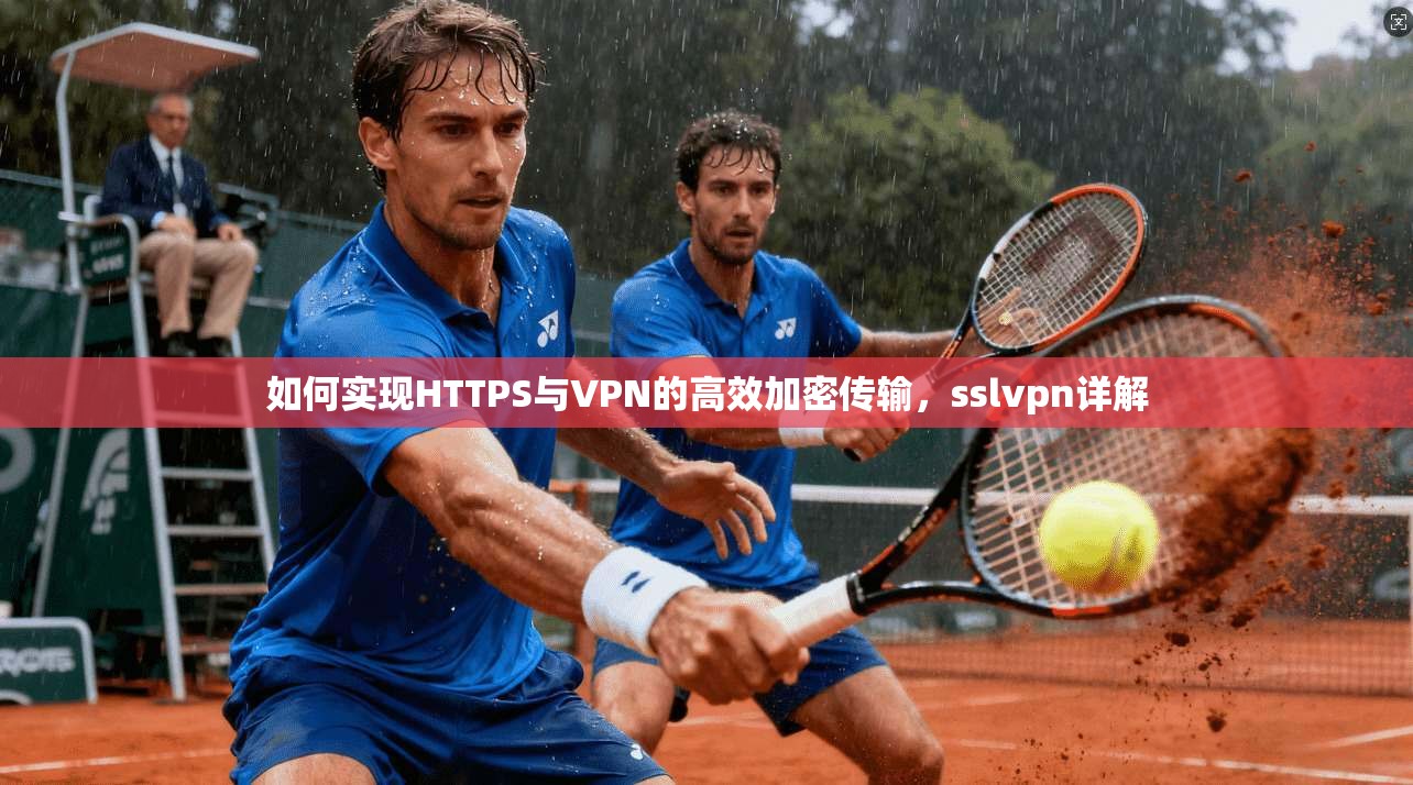 如何实现HTTPS与VPN的高效加密传输，sslvpn详解