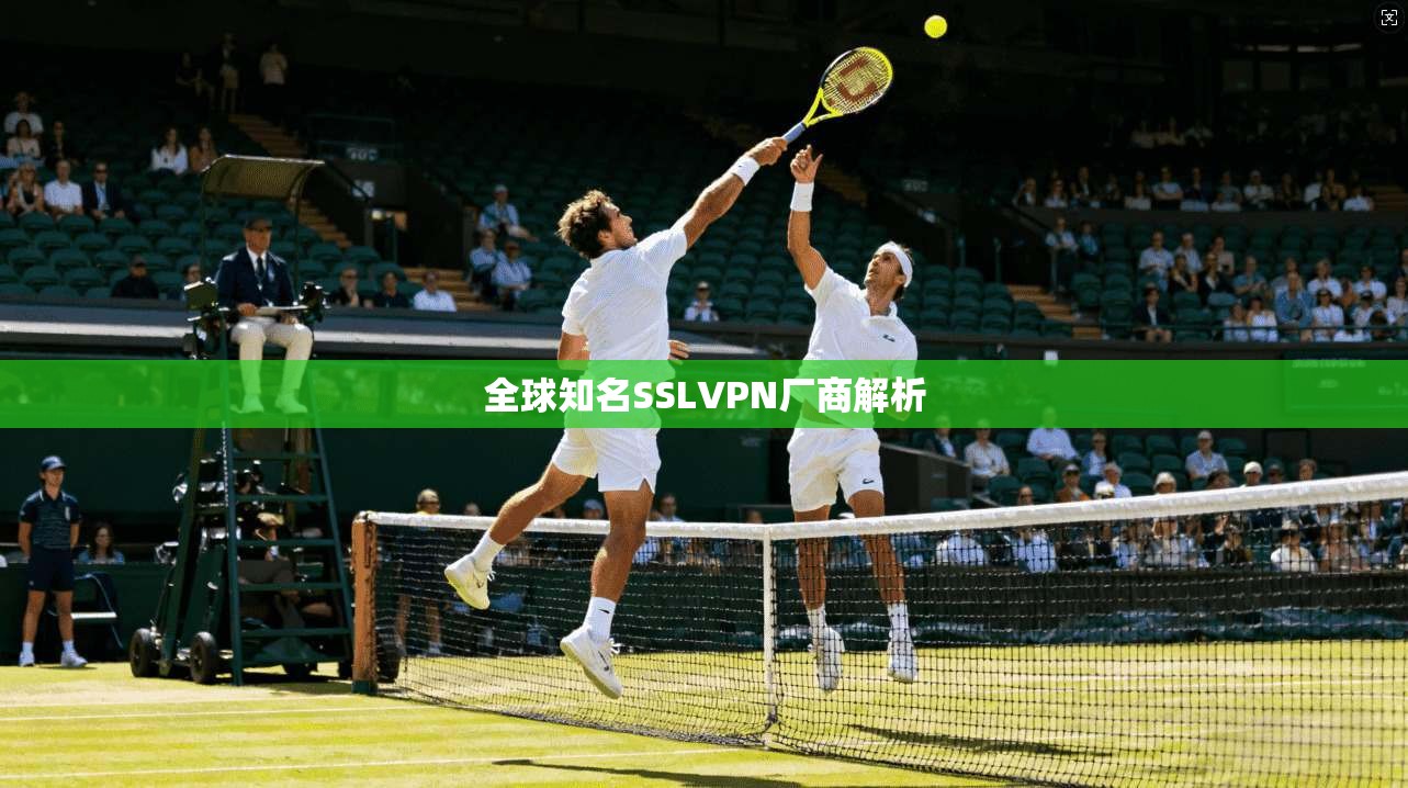 全球知名SSLVPN厂商解析