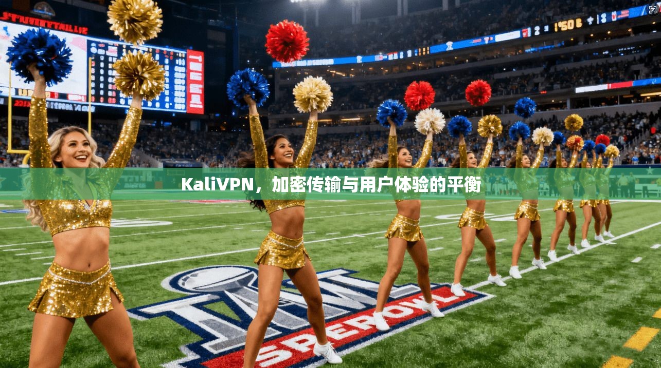 KaliVPN，加密传输与用户体验的平衡