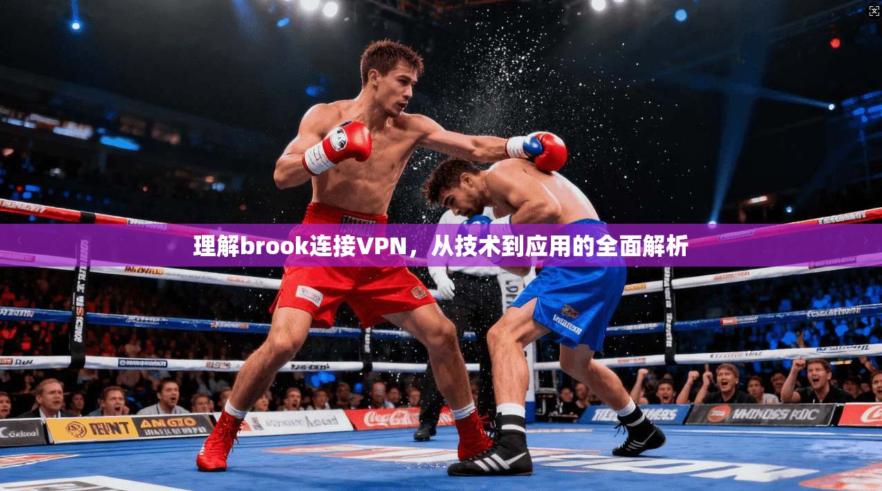 理解brook连接VPN，从技术到应用的全面解析